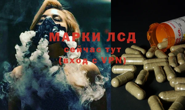 ГАЛЛЮЦИНОГЕННЫЕ ГРИБЫ Балабаново